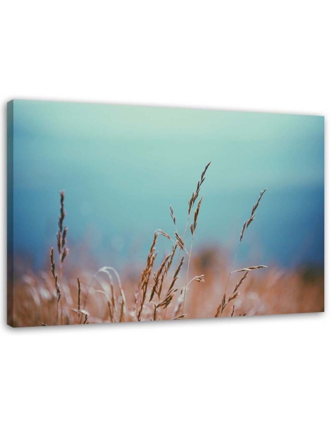 Canvas print Leaves of grass