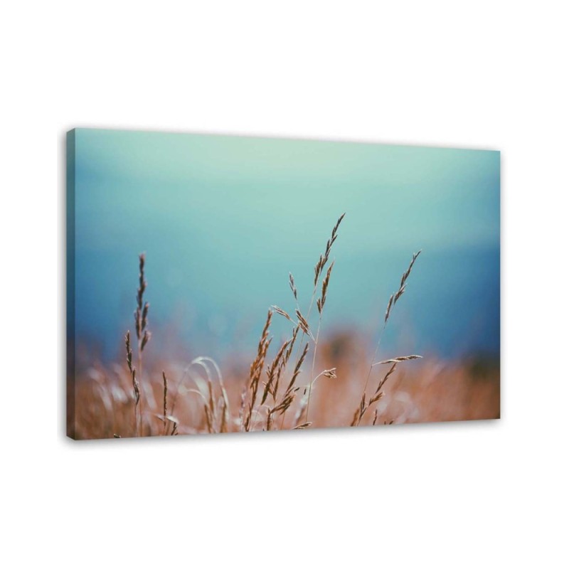 Modern wall art painting - Grass stalks | FEEBY