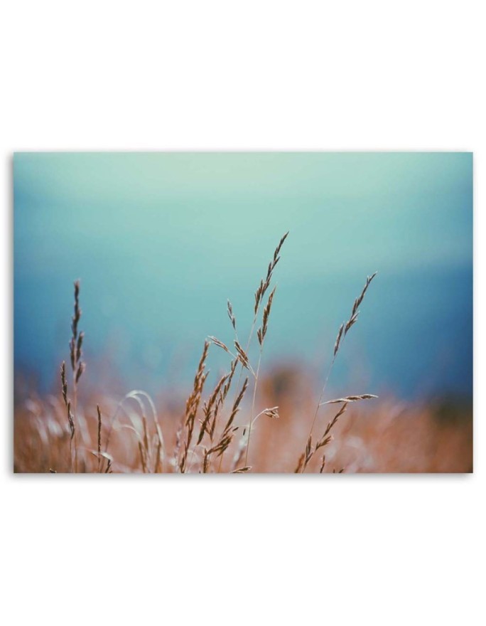 Modern wall art painting - Grass stalks | FEEBY