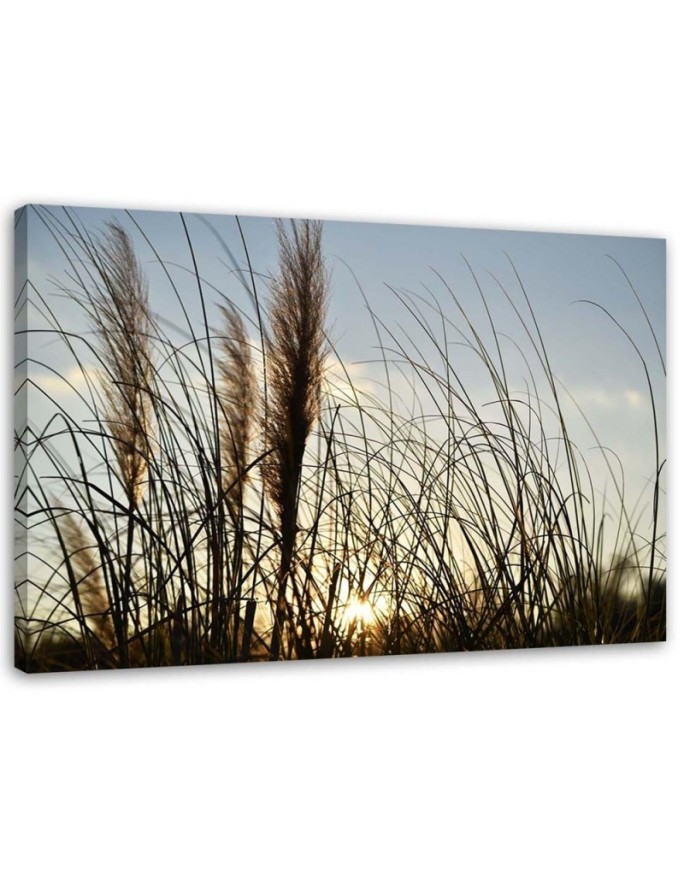 Large canvas painting for room - Reed in the sun, nature | FEEBY