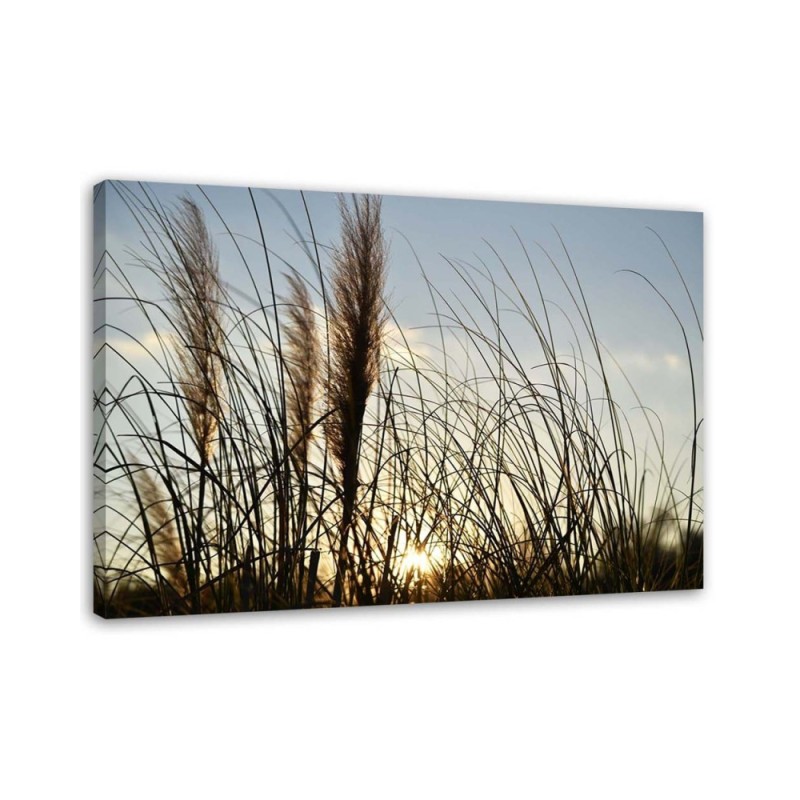 Large canvas painting for room - Reed in the sun, nature | FEEBY