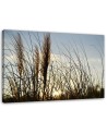 Large canvas painting for room - Reed in the sun, nature | FEEBY
