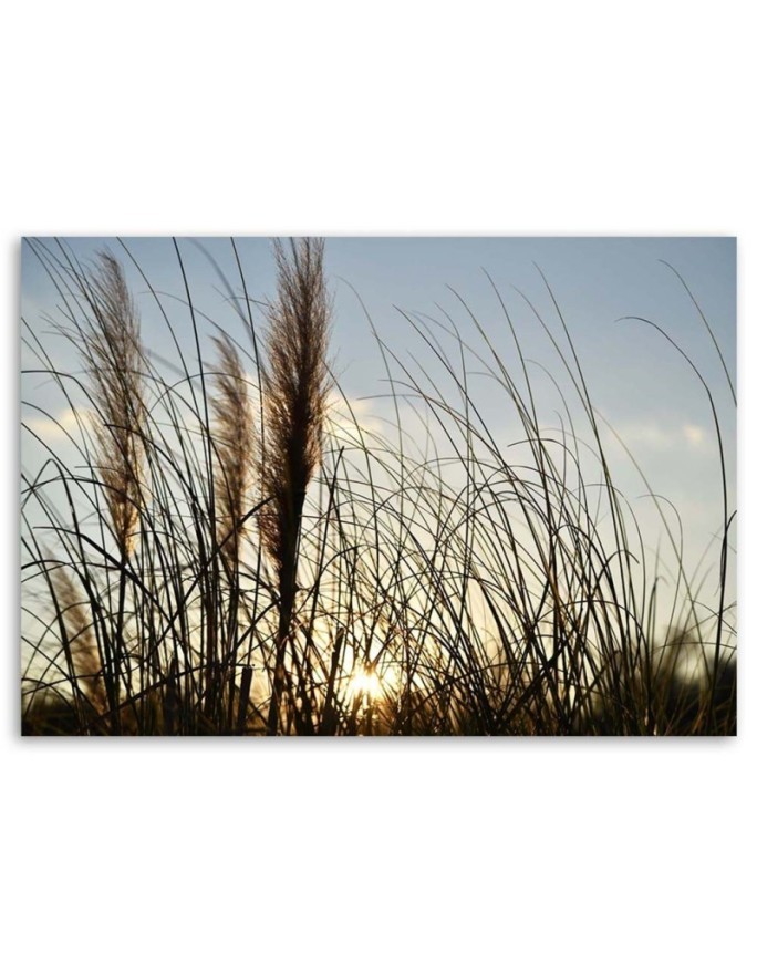 Large canvas painting for room - Reed in the sun, nature | FEEBY