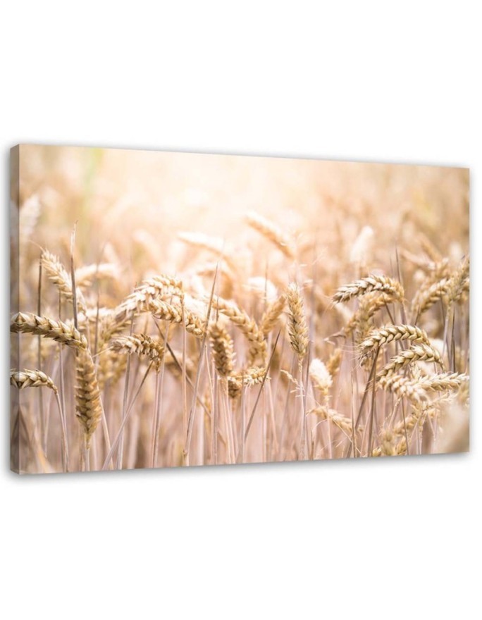 Wall art decoration painting for living room - Grain in the sunshine | FEEBY