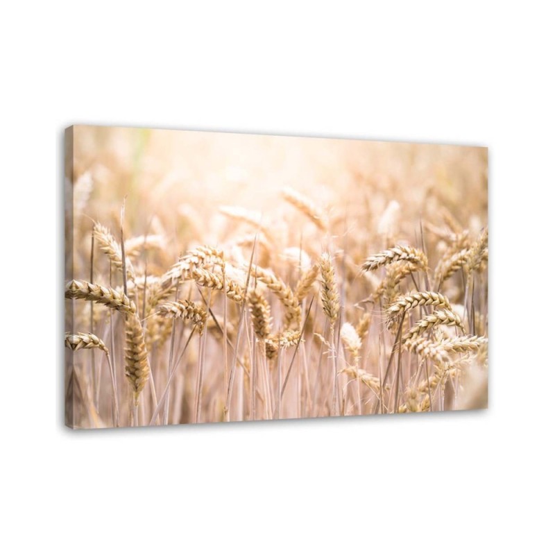 Wall art decoration painting for living room - Grain in the sunshine | FEEBY