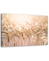 Wall art decoration painting for living room - Grain in the sunshine | FEEBY