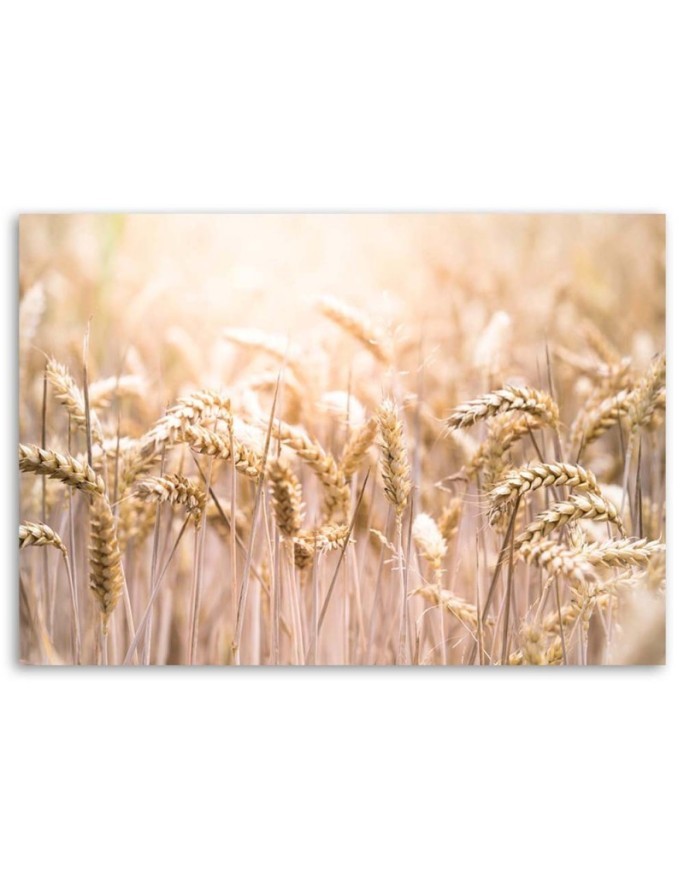 Wall art decoration painting for living room - Grain in the sunshine | FEEBY