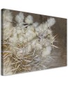 Decorative Canvas painting for living room - Reed grass boho | FEEBY