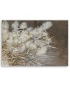 Decorative Canvas painting for living room - Reed grass boho | FEEBY