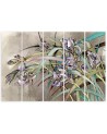 Canvas print printed on canvas - Irises flowers in the wind | FEEBY