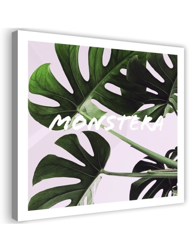 Canvas prints for kitchen on canvas - Monstera leaves | FEEBY
