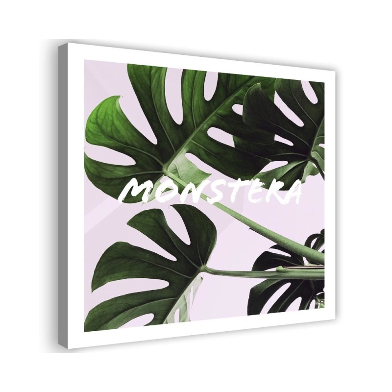 Canvas prints for kitchen on canvas - Monstera leaves | FEEBY