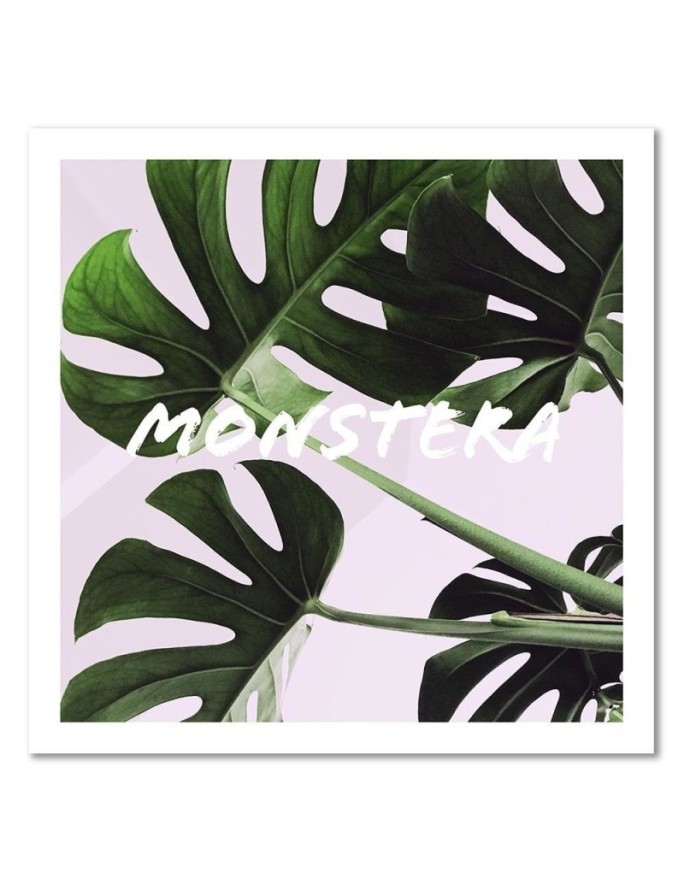 Canvas prints for kitchen on canvas - Monstera leaves | FEEBY