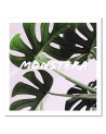 Canvas prints for kitchen on canvas - Monstera leaves | FEEBY