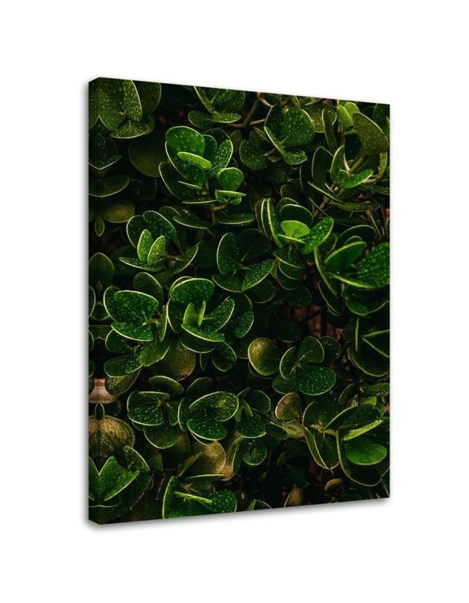 Wall art painting for room - Green exotic leaves plants nature | FEEBY