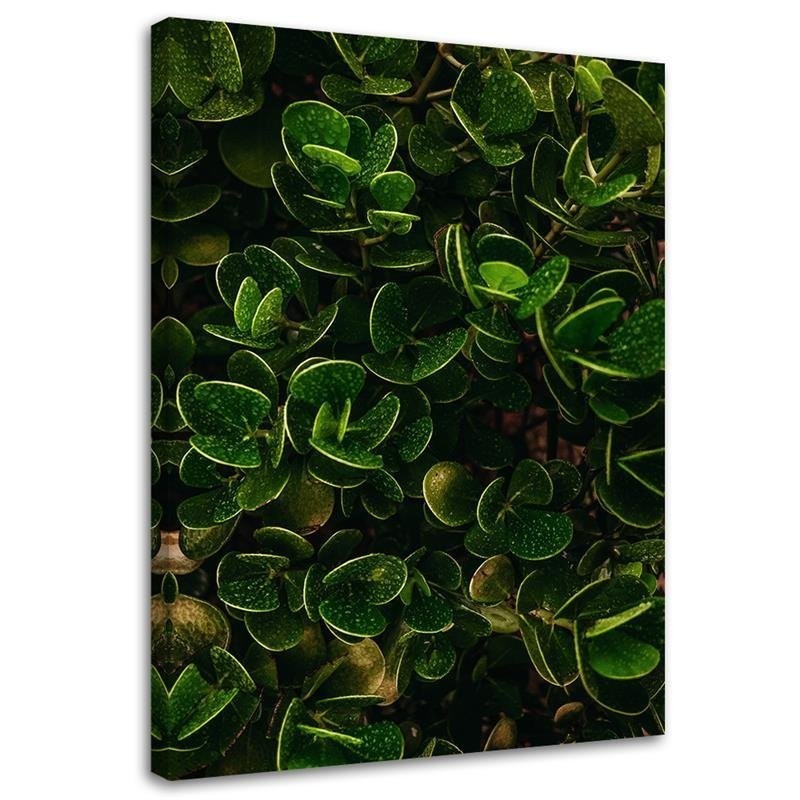 Wall art painting for room - Green exotic leaves plants nature | FEEBY