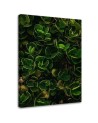 Wall art painting for room - Green exotic leaves plants nature | FEEBY