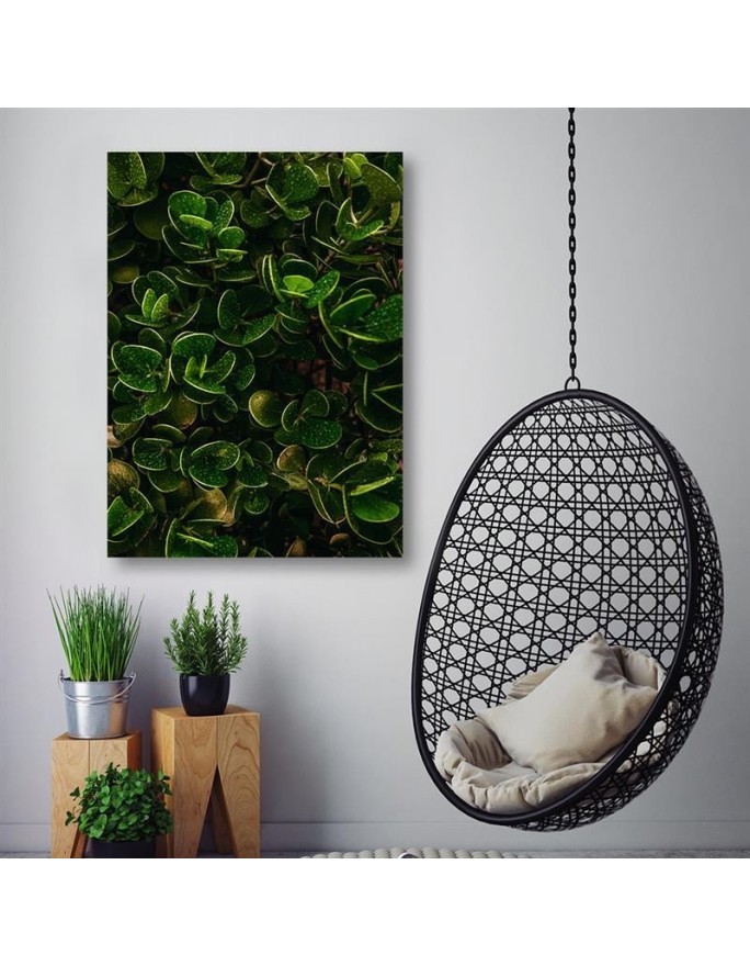 Wall art painting for room - Green exotic leaves plants nature | FEEBY