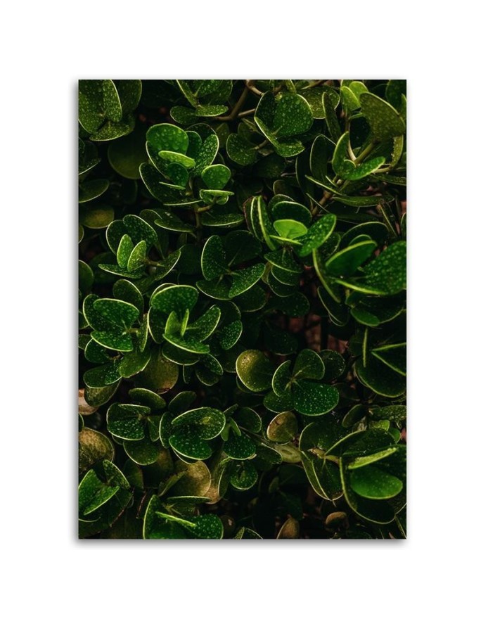 Wall art painting for room - Green exotic leaves plants nature | FEEBY