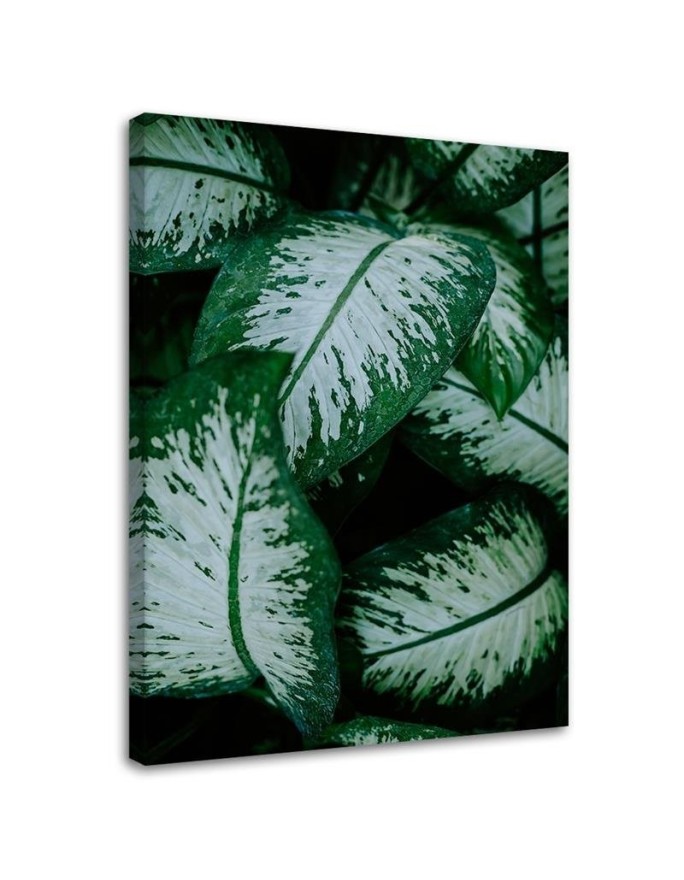 Fashionable wall art paintings - Tropical leaves. Buy now| | FEEBY