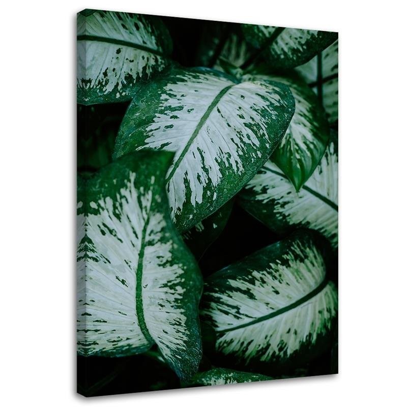 Fashionable wall art paintings - Tropical leaves. Buy now| | FEEBY