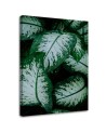 Fashionable wall art paintings - Tropical leaves. Buy now| | FEEBY