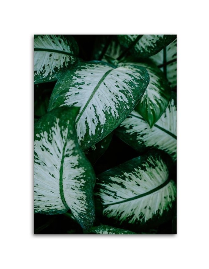 Fashionable wall art paintings - Tropical leaves. Buy now| | FEEBY