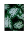 Fashionable wall art paintings - Tropical leaves. Buy now| | FEEBY