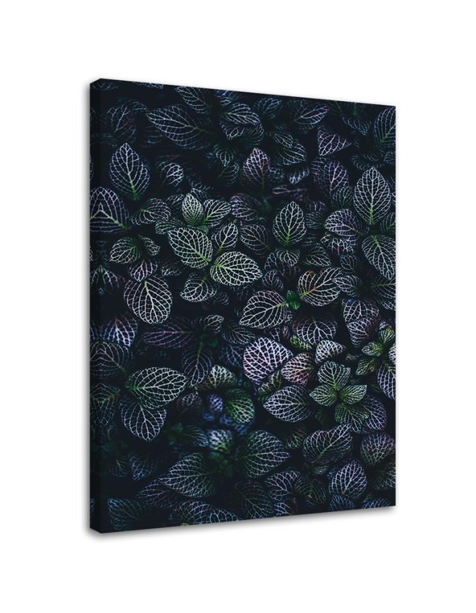 Canvas print Leaves Exotic...