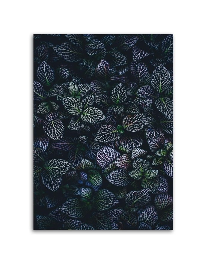 Wall art decoration paintings - Leaves plants nature | FEEBY