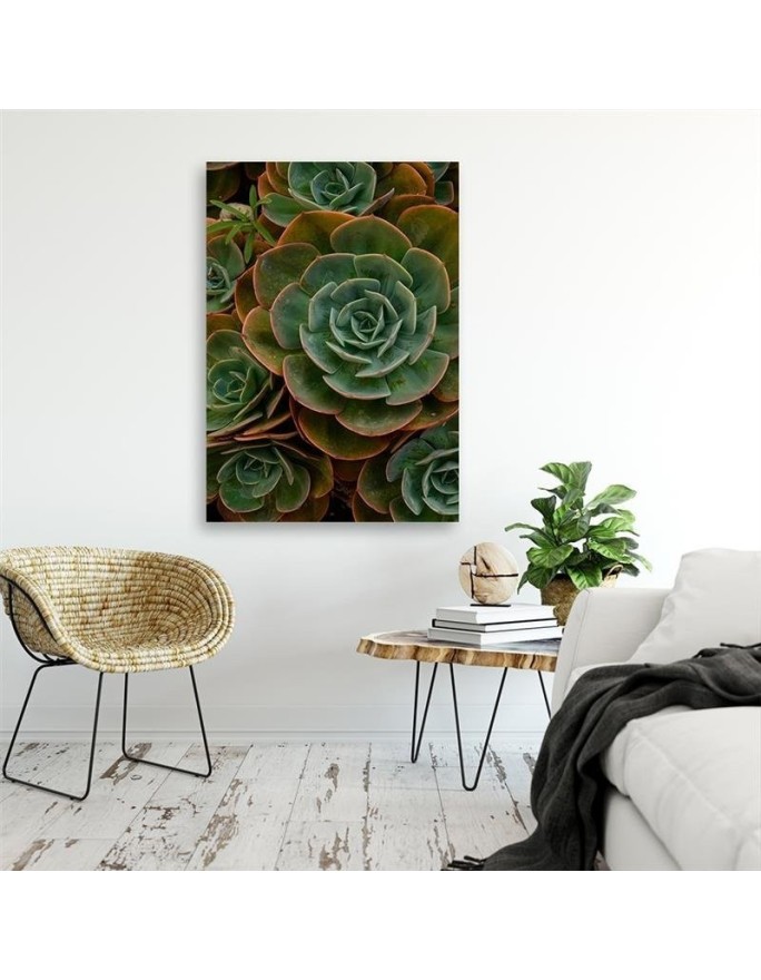 Canvas prints for dining room on canvas - Succulent flower | FEEBY