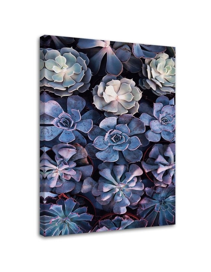 Elegant canvas painting - Succulent flower nature | FEEBY