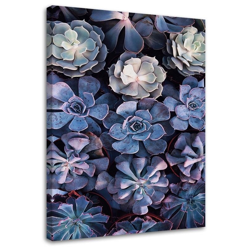 Elegant canvas painting - Succulent flower nature | FEEBY