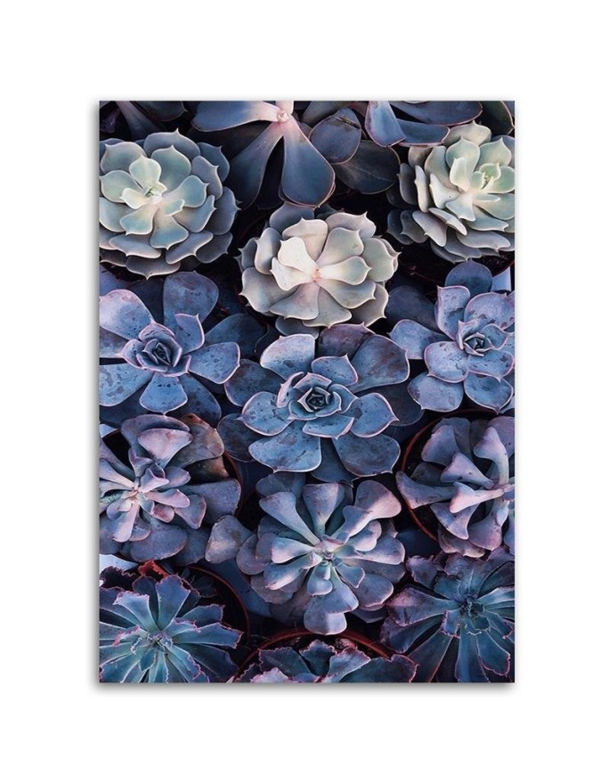 Elegant canvas painting - Succulent flower nature | FEEBY