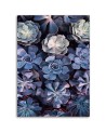 Elegant canvas painting - Succulent flower nature | FEEBY
