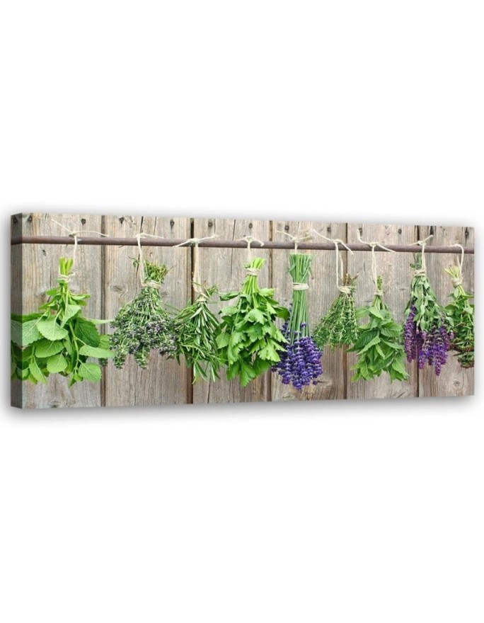 Canvas print Hanging herbs