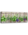 Canvas prints for kitchen wall - Herbs spices | FEEBY