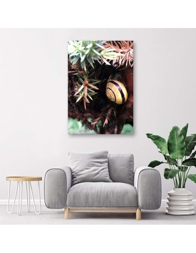 Wall art painting for room - Snail and plants | FEEBY