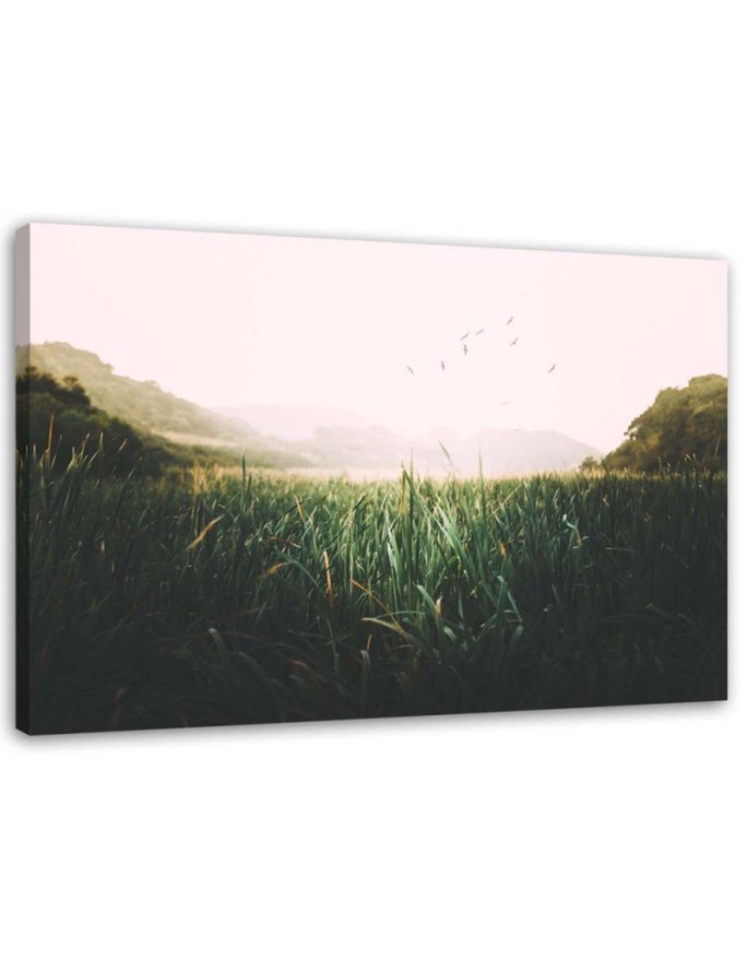 Wall art illustration painting for room - Birds landscape lake | FEEBY