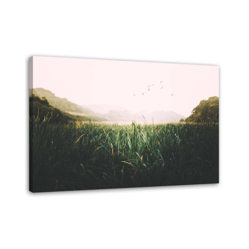 Wall art illustration painting for room - Birds landscape lake | FEEBY