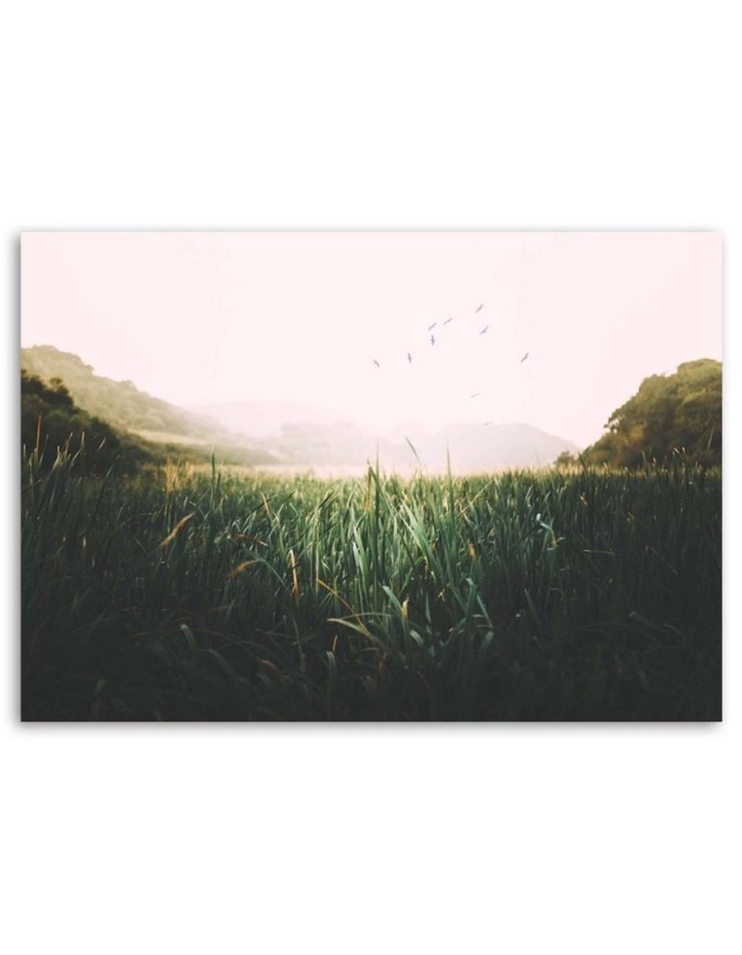 Wall art illustration painting for room - Birds landscape lake | FEEBY