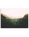Wall art illustration painting for room - Birds landscape lake | FEEBY