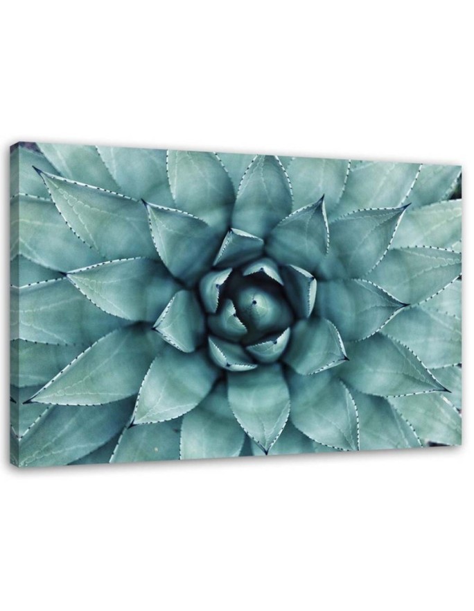 Modern Canvas painting for bathroom - Blue aloe vera | FEEBY