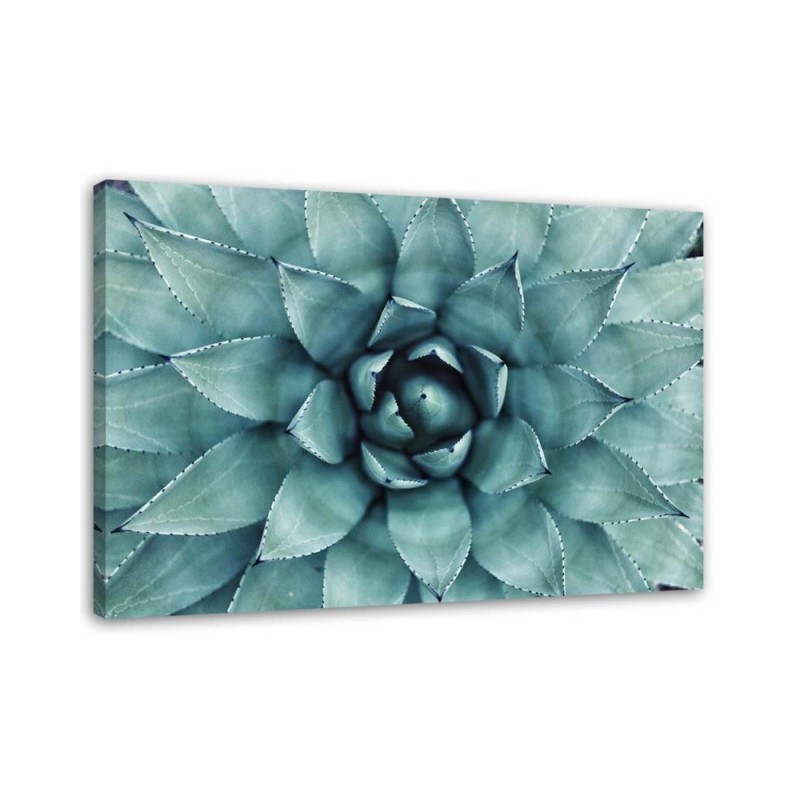 Modern Canvas painting for bathroom - Blue aloe vera | FEEBY