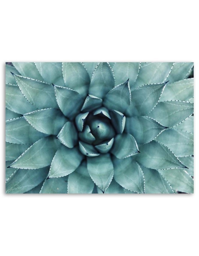 Modern Canvas painting for bathroom - Blue aloe vera | FEEBY