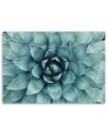 Modern Canvas painting for bathroom - Blue aloe vera | FEEBY