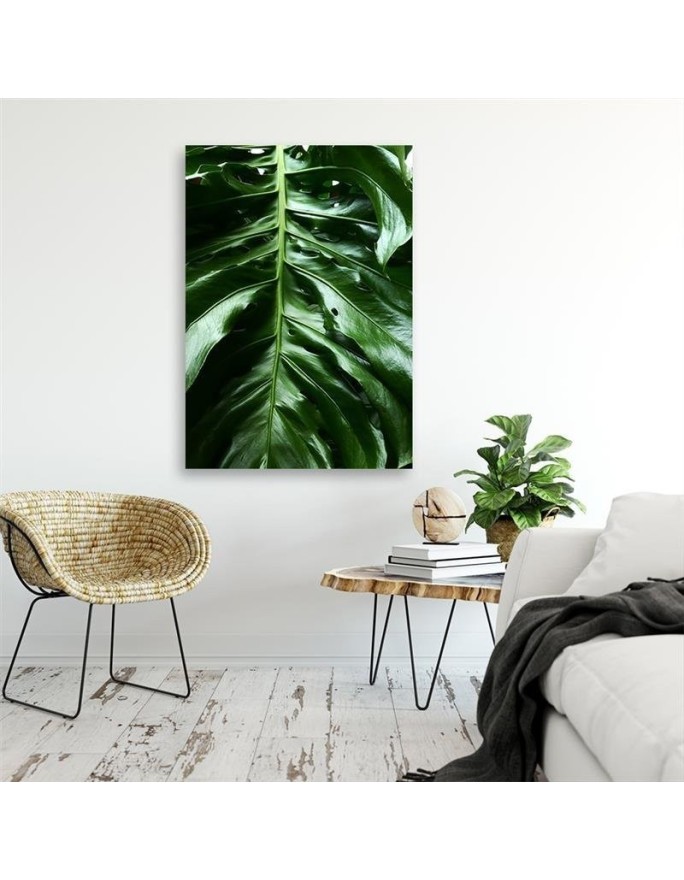 Canvas prints for the room - Monstera plant leaves | FEEBY