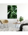 Canvas prints for the room - Monstera plant leaves | FEEBY