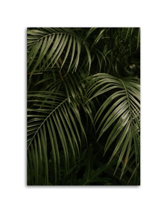 Canvas painting for living room, dining room - Green palm leaves | FEEBY