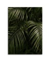 Canvas painting for living room, dining room - Green palm leaves | FEEBY